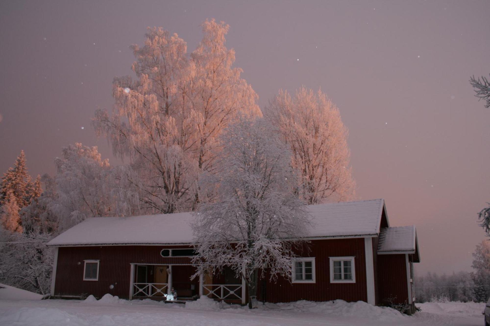 Valkeisen Loma Villa Ahtari Bagian luar foto