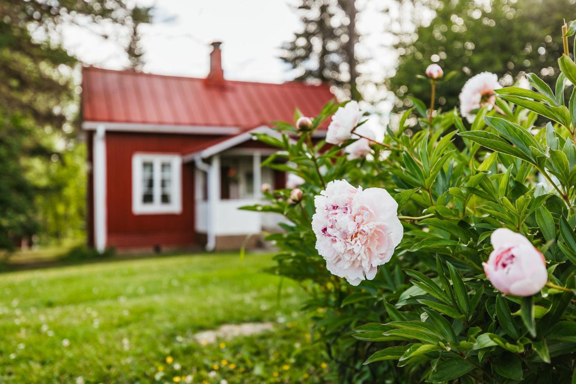 Valkeisen Loma Villa Ahtari Bagian luar foto